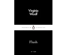 KNYGA Virginia Woolf Nuplaukite
