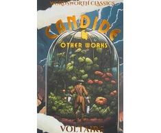 KNYGA Voltaire Candide and Other Works