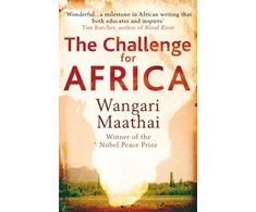 KNYGA Wangari Maathai Challenge for Africa