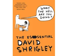 KNYGA What The Hell Are You Doing?: The Essential David Shrigley