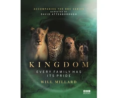 KNYGA Will Millard Millard Will Kingdom: Every family has its pride