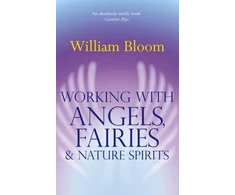 KNYGA William Bloom Undifferentiated Working With Angels, Fairies And Nature Spirits