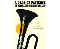 KNYGA William Melvin Kelley Drop of Patience