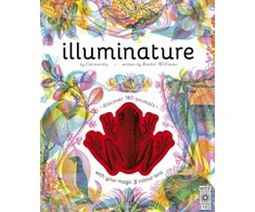 KNYGA Williams Rachel Illuminature