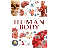 KNYGA Wonder House Books Knowledge Encyclopedia Human Body: Deluxe Edition