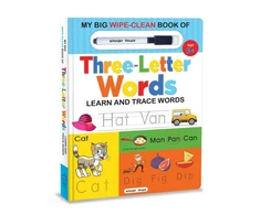 KNYGA Wonder House Books My Big Wipe And Clean Book of Three Letter Words