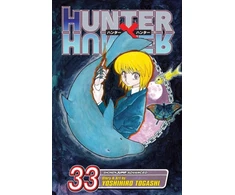KNYGA Yoshihiro Togashi Hunter x Hunter, Vol. 33