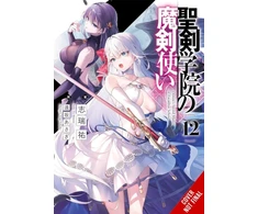 KNYGA Yu Shimizu The Demon Sword Master of Excalibur Academy, Vol. 12 (light novel)