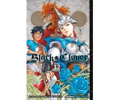 KNYGA Yuki Tabata Juodas Clover, Vol. 12