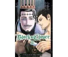 KNYGA Yuki Tabata Juodas Clover, Vol. 25