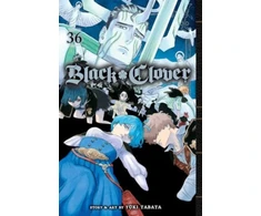 KNYGA Yuki Tabata Juodas Clover, Vol. 36