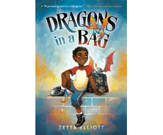 KNYGA Zetta Elliott Dragons in a Bag