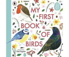 KNYGA Zo Ingram My First Book of Birds