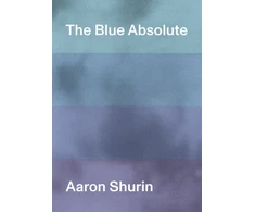 KNYGA Aaron Shurin Mėlyna Absolute