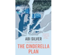 KNYGA Abi Silver Cinderella Plan