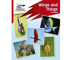 KNYGA Abigail Steel Reading Planet: Rocket Phonics – Target Practice – Wings and Things – Raudona B