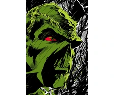KNYGA Absolute Swamp Thing by Len Wein and Bernie Wrightson