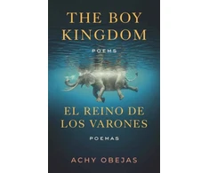KNYGA Achy Obejas Boy Kingdom / El reino de los varones,The
