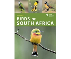 KNYGA Adam Riley Birds of South Africa