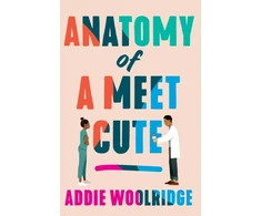 KNYGA Addie Woolridge Anatomy of a Meet Cute