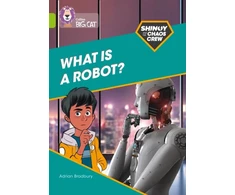 KNYGA Adrian Bradbury Shinoy and the Chaos Crew: What is a robot?