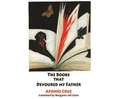 KNYGA Afonso Cruz The Books that Devoured my Father