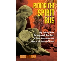 KNYGA Ahad Cobb Riding the Spirit Bus
