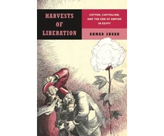 KNYGA Ahmad Shokr Harvests of Liberation