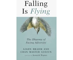 KNYGA Ajahn Brahm Falling is Flying