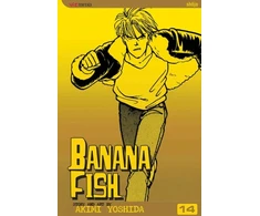 KNYGA Akimi Yoshida Banana Fish, Vol. 14