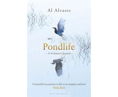 KNYGA Al Alvarez Pondlife
