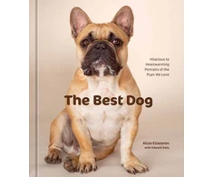 KNYGA Aliza Eliazarov Best Dog
