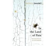 KNYGA Alphonse Daudet In the Land of Pain