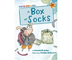 KNYGA Amanda Brandon Box of Socks
