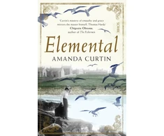 KNYGA Amanda Curtin Elemental
