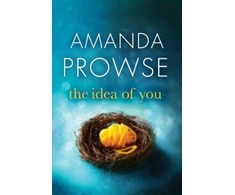 KNYGA Amanda Prowse Idea of You