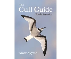 KNYGA Amar Ayyash Gull Guide