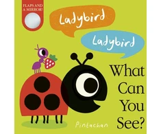 KNYGA Amelia Hepworth Ladybird! Ladybird! What Can You See?