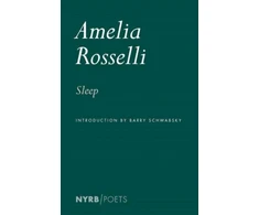 KNYGA Amelia Rosselli Miegoti