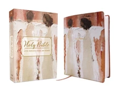 KNYGA Amplified Holy Bible, Anne Neilson Angel Art Series, Leathersoft, Blush