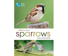 KNYGA Amy Jane Beer RSPB Spotlight Sparrows