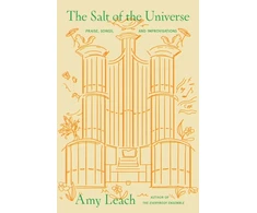 KNYGA Amy Leach Salt of the Universe