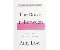 KNYGA Amy Low The Brave In-Between