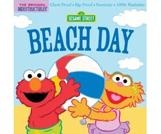KNYGA Amy Pixton Indestructibles: Sesame Street: Beach Day