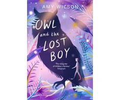 KNYGA Amy Wilson Owl and the Lost Boy