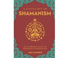 KNYGA Ana Campos Little Bit of Shamanism, A