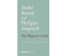 KNYGA Andre Breton Magnetic Fields