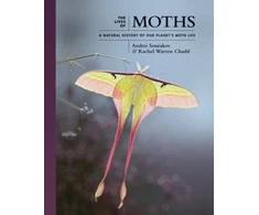 KNYGA Andrei Sourakov Lives of Moths