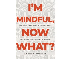 KNYGA Andrew Holecek I'm Mindful, Now What?