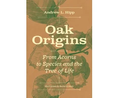 KNYGA Andrew L Hipp Oak Origins